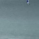 Da Rocha 6 - 1712 Tarik - P&p