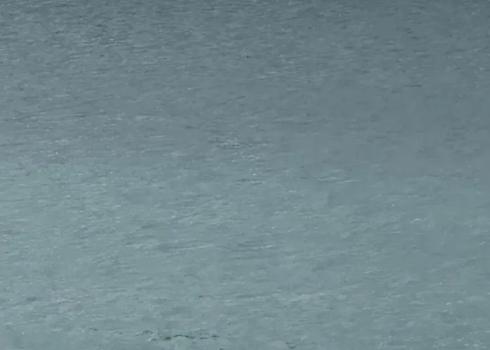 Da Rocha 6 - 1712 Tarik - P&p